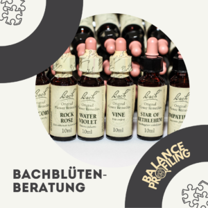 Bachblütenberatung