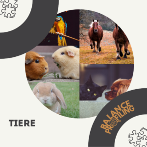 Tiere