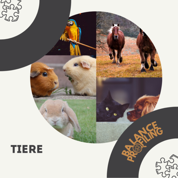 Tiere