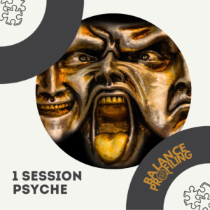 1 Session Psyche