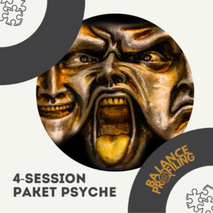 4-Session Paket Psyche